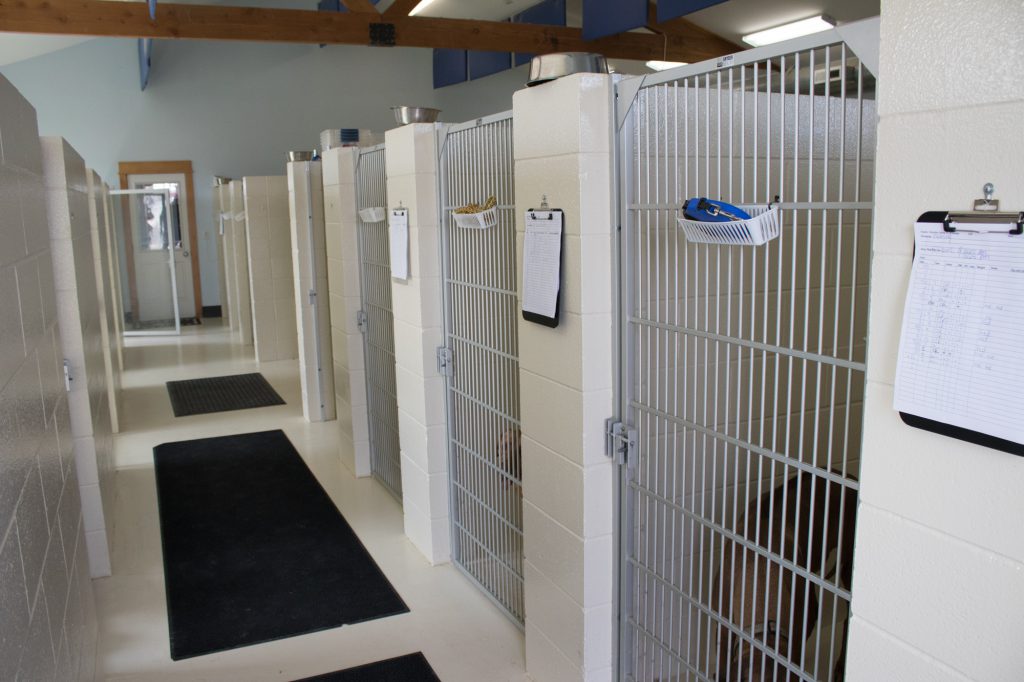 Services Cottonwood Veterinary Hospital