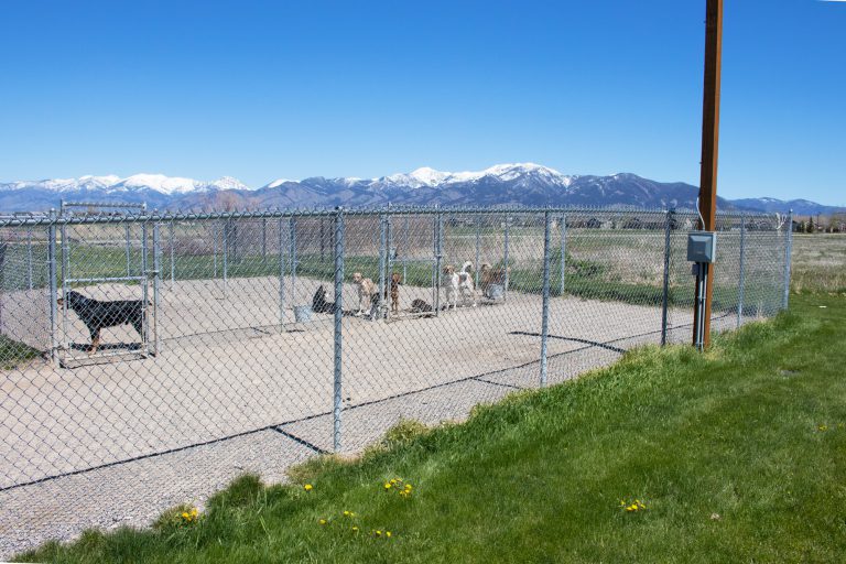 Services Cottonwood Veterinary Hospital