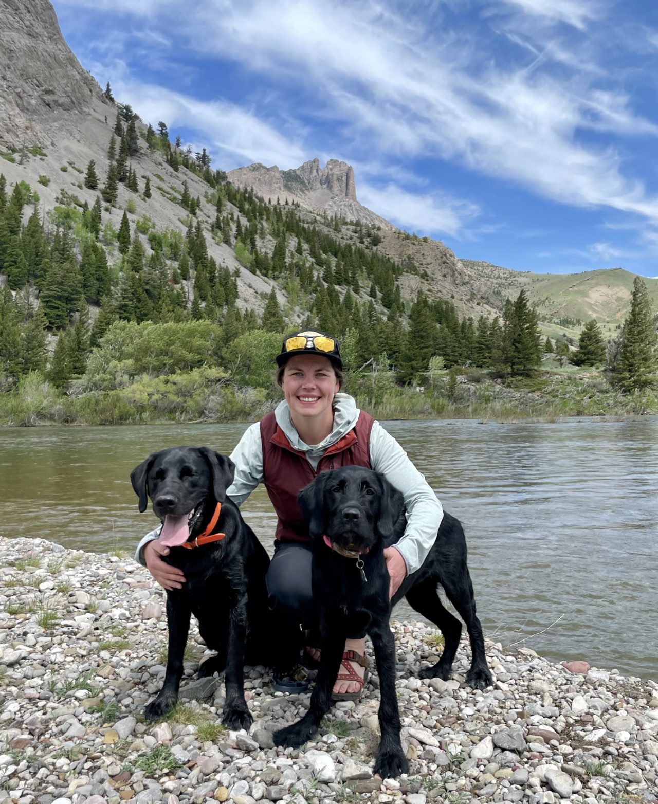 About Cottonwood Veterinary Hospital